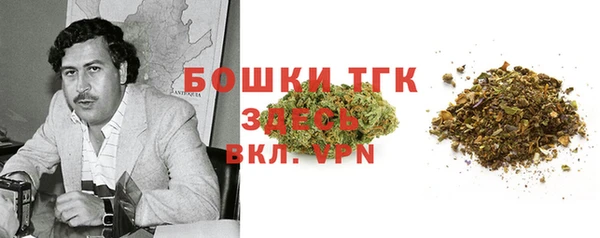 PSILOCYBIN Верея