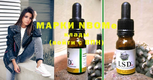 PSILOCYBIN Верея